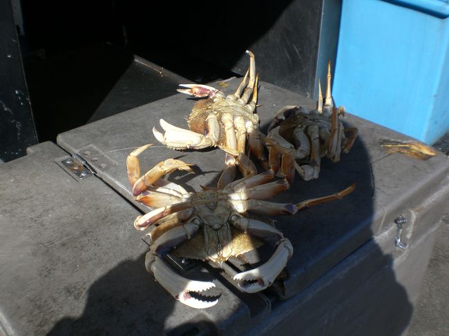 決して日向ぼっこではないですよ〜