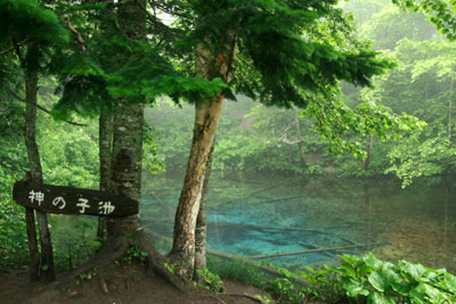 道東旅行 その１ 神の子池 摩周 弟子屈 北海道 の旅行記 ブログ By Joaquimさん フォートラベル