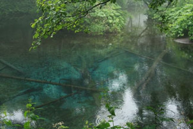 道東旅行 その１ 神の子池 摩周 弟子屈 北海道 の旅行記 ブログ By Joaquimさん フォートラベル