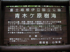 やってきました、年間１００人を超える自殺の名所・・・。
青木ｹ原樹海を歩くのは初めてです。
