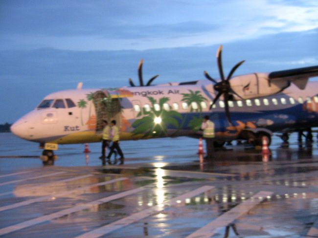 初めてのプロペラ機。不安もありましたが、視線がジャンボより低いだけで、加速・安定は同じでした。<br />座席は２＋２Ｘ２０列ぐらいです。<br />日本語のアナウンスがあり、健康質問票の書き方を教わりました。<br />外は小雨。歩いで建物に向かいます。<br />ＶＩＳＡカウンター（当日受付）には欧米人が２０人ほど並んでました。私は日本で取得しているので、誰も並んでいない入国審査へ。ラクラク入国。