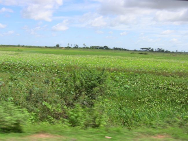 このあたりも雨季には水没するとのこと。<br />湖が広くなるはずだ。