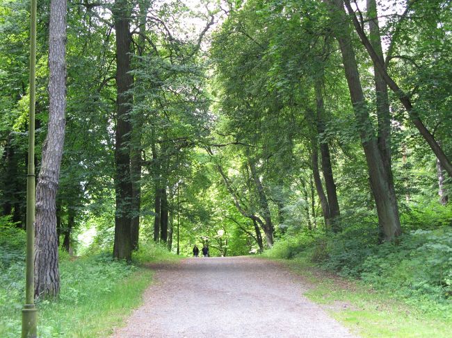 ﾄﾗﾑを降りてこんな森の中を抜けて行きます。