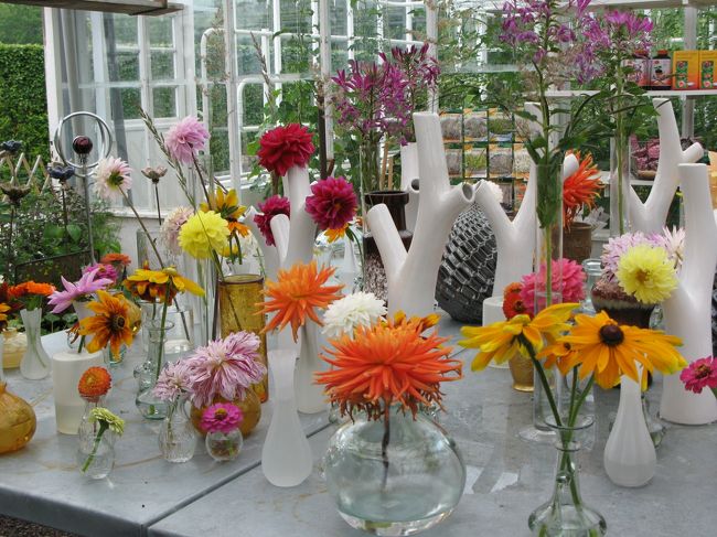 隣のお花を売ってるﾊｳｽにはこんなに綺麗にﾃﾞｨｽﾌﾟﾚｲしてあったり、