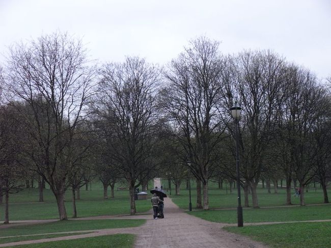 ヴィーゲラン公園に到着。
