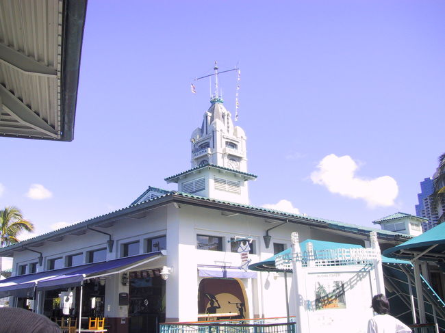 ハワイタワーが見えます