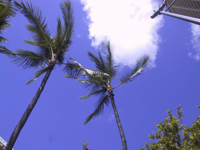 当日、風が気持ちよかったです！