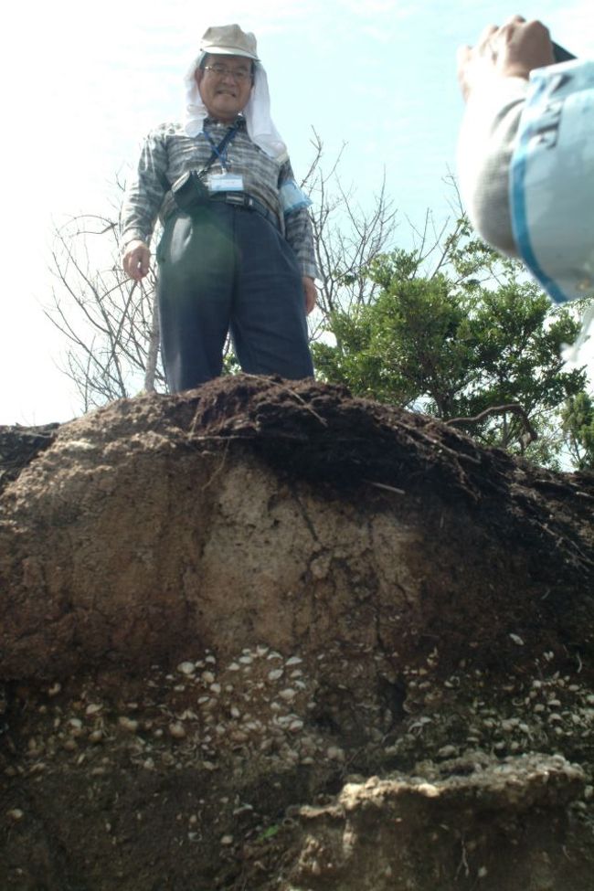 第２貝層は崩落が進んで危機的な状況でがんす。