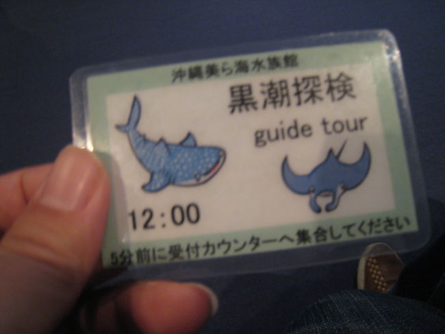 大水槽を上から見たり、バックヤードを見学できる<br />「黒潮探検ツアー」に参加しました。