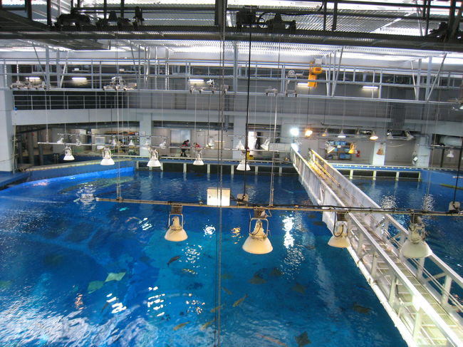 ほぉぉ〜、こうなってるんですね。