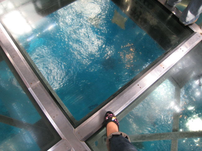 ガラスがあるってわかっててもちょっと怖いのは<br />どうしてなんでしょう？？