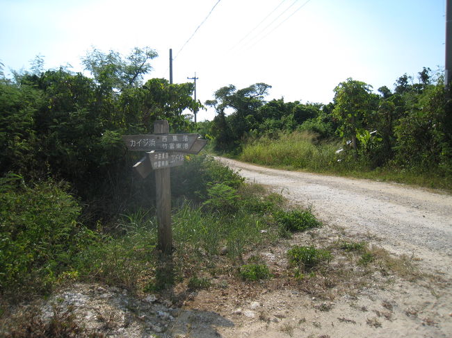 ちょっと集落を離れるとワイルドな風景が。