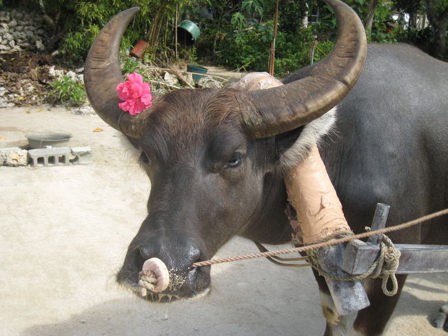 かわいいなぁ〜。