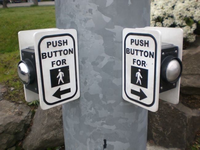 センスがいいな〜<br />思わずパチリと。