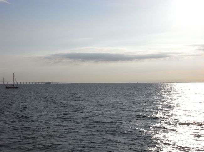 左に少し見えるのがオーレスン橋。