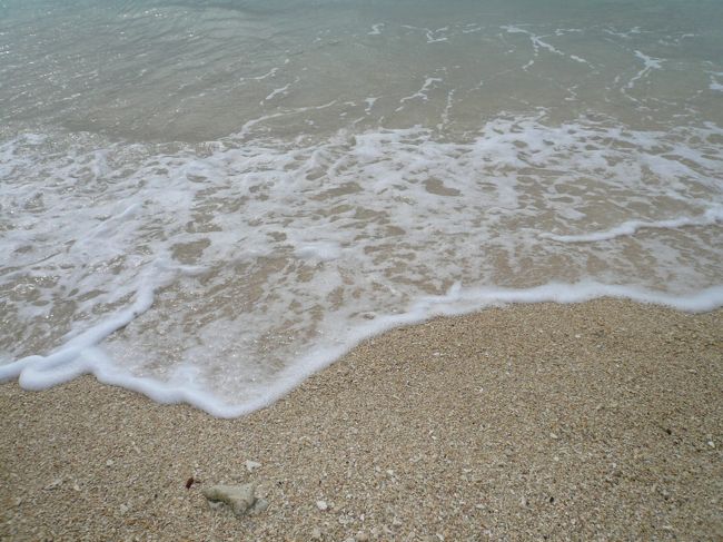 サンゴ礁の島、沖縄。<br /><br />サンゴや貝殻、海の生物たちの骨などが細かく砕けたものが波によって集められることで沖縄のビーチは白い砂浜となるのです。<br /><br />岬付近の目の粗い砂をひと握りすると、小さな貝殻やウニの針、サンゴの欠片や星砂などを見ることができます。（アリビラHPより）