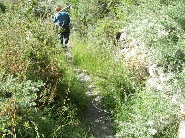 と、直ぐに地元のおじさんが通りかかったので聞いてみると、付いておいでと案内してくれた。ラッキー！<br /><br />おじさんは、２ｍ位の低木・草むらの中を進んで行く。。<br />確かに僅かに細い道があるんだが、こりゃ自力ではとても解らない道です。