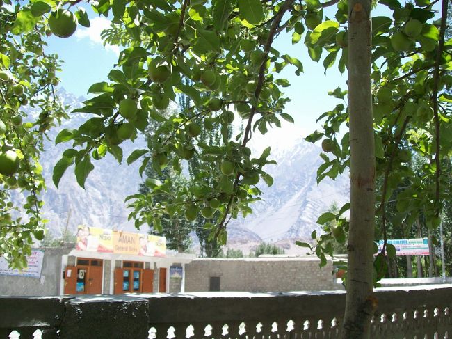 宿に戻って、庭でひと休み。。<br /><br />＊パスーの冬は-10〜-20℃。<br />　４WCのランクルやジープのみが走ってるらしい。<br /><br /><br /><br />これからフンザ・カリマバードへ向かいます♪