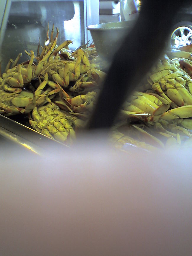 フィッシャーマンズワーフ名物のカニ