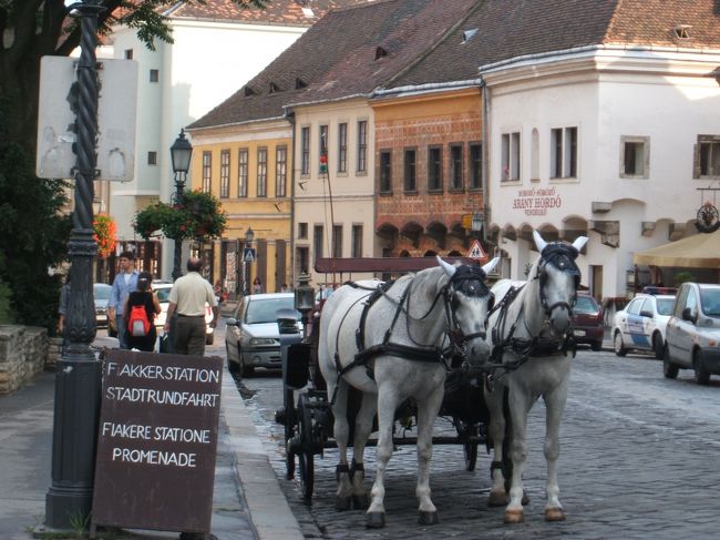 王宮の丘にいた馬です。この馬車に１人で乗りたかったのですが、肝心のおやじさんが待てど暮らせど見当たらず、馬にお願いしてもだめなので泣く泣くあきらめました。歩いて周るのもいいのですが、町並みと馬車が雰囲気で合っていたので乗ってみたくなりました。