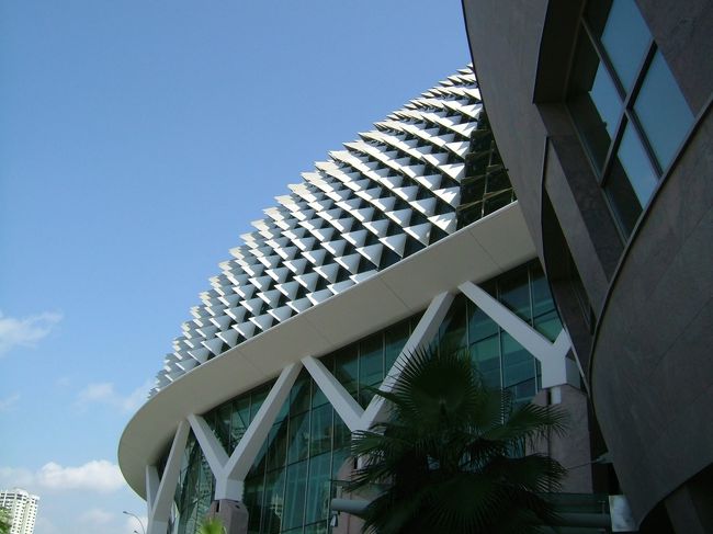 ドリアンのイボイボです。これ刺さったら痛いだろうね。