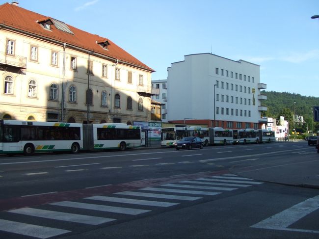 バスがたくさん停まっていました。