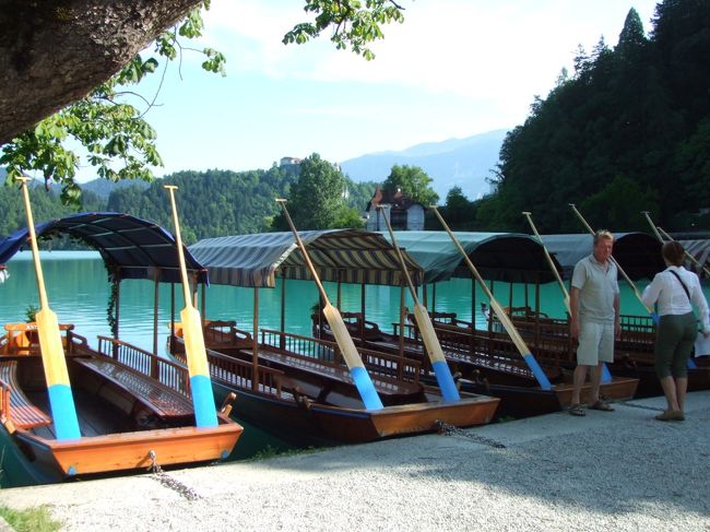 こちらの手漕ぎボートに乗って、湖の中央にある小島へ向かいます。