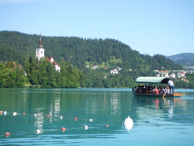 こんな感じです。