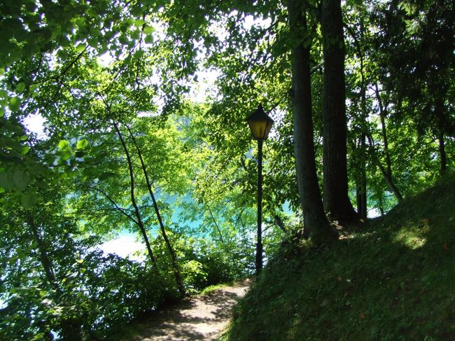 フリータイムに、小島を一周してみました。