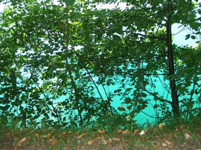 美しい湖の色。