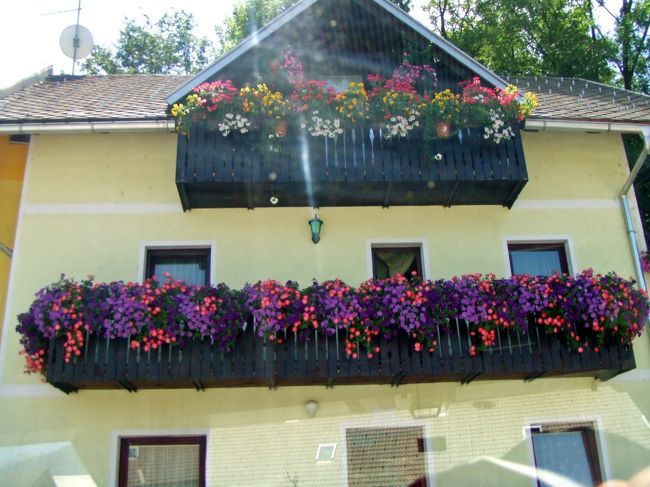 途中、お花で飾られた可愛いお家がありました。