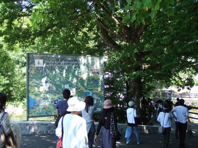 到着です。<br />駐車場から入り口まで歩きます。<br />暑い！