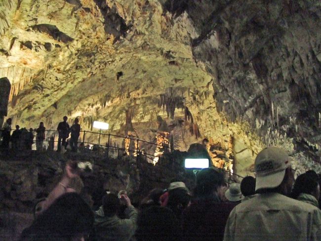 それぞれのガイド言語に分かれて出発です。