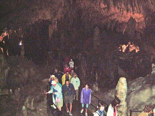 なかなか上手く撮れないのですが