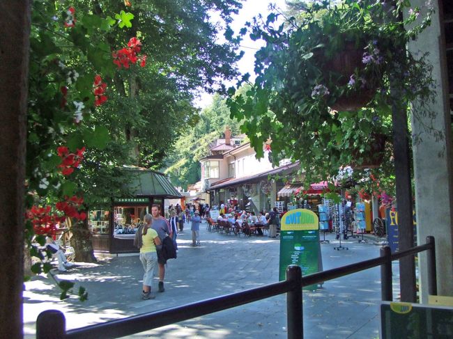 カフェでコーラを飲んで一休み。<br /><br />その後、リブリャーナへ戻りました。