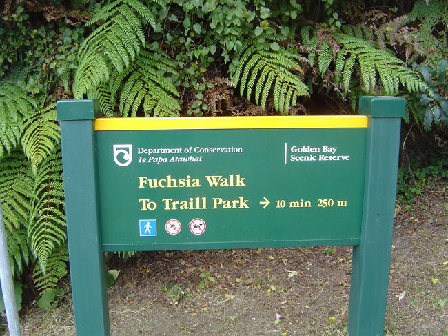 確かのんびりしに来たはずだが…歩きたい血が騒ぎ出し早速島探検。BPの後ろぐらいにショートトレックコースの入り口がある。