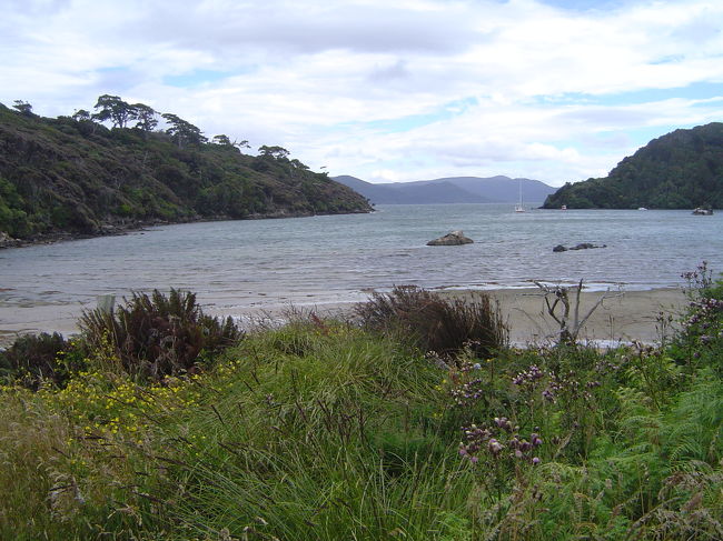 DeerBayを抜け・・・ここでBPに引き返すこともできるんだけどまだ時間もあるのでAckersPointまで歩くことに。