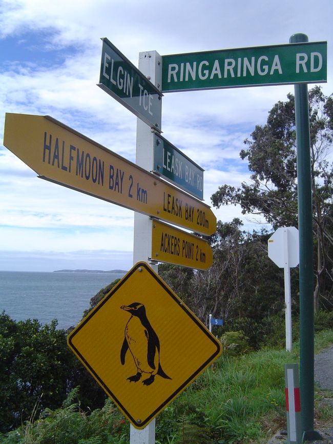 途中こんな標識が出てきたり、捕鯨基地だったころの脂をとる釜がゴロンとおいてあったり、石でできた開拓当時の家が残ってたり・・・