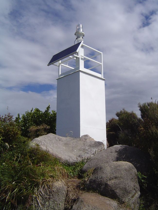 結構みどころたくさんの道を通ってAckersPointに到着。誰もいません。白い海鳥（名前忘れた）がいっぱいて飛んでいてかっこいい！！この辺にいっぱい営巣しているみたい。