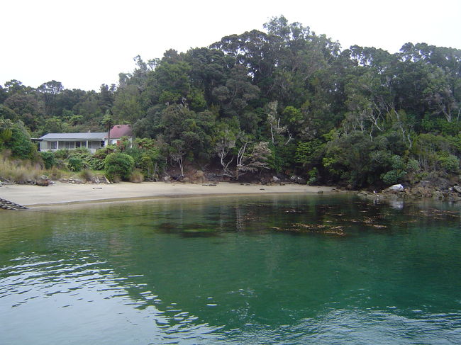 次の日はフェリーに乗ってウルバアイランドへ。フェリーは9時、12時、16時出発往復で20＄。予約したようなしてないような…。UlvaIslandに行くなら売店などで売られている鳥や植物の解説をしている２＄のガイドブックを買うと一人でも結構わかるもの。