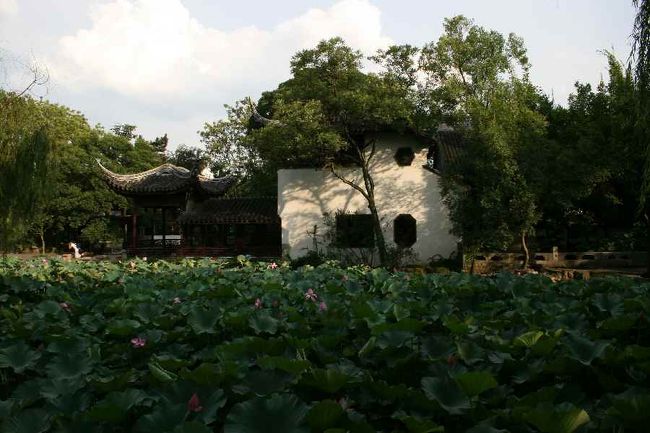 蓮池に浮かんでいて趣があるこの建物は入場券の表紙にありました。<br /><br />もっと散策したかったのですが、列車の発車時刻が近づき、園の出口へ急ぎ足で向かいました。<br />そこで目に付いたのは、ちょっと怪しげな乗り物（シェンマ？）。電動付自転車を観光用に改造し、二人用の椅子を後方に着けています。中国ではわりとメジャーな乗り物のようです。<br />中でもきれいなシートのドライバーをつかまえ、<br />「タイ、クイ、ラ」といいながら値段交渉をし、列車発車の１０分前になんとか蘇州駅にたどり着きました。信号を守らない、車道も歩道も通る、交差点を勝手に右左折、または直進するこの自転車の方が、タクシーより断然早かったと思います。<br /><br />駅の待合室で、席の隣から日本語が聞こえてきたので「日本人ですか？」と尋ねました。お互い中国人に同化して気がつかなかったようです。<br />若いカップルは翌日、上海郊外の日食ツアーに参加するそうです。私もそれがメインテーマの一つなのですが、朝の予報によると、翌日は上海は雨模様なのでした。<br />近い将来結婚しそうな雰囲気のそのカップルは、プチ喧嘩の最中だったみたい。<br />「仲良く喧嘩するといいですよ」そう思います。