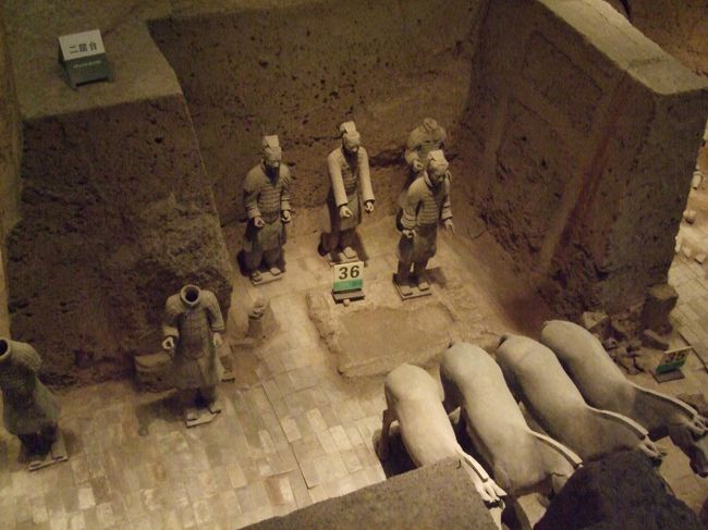 爪までリアルに作られているわりに、足周りは適当な感じです（笑）。