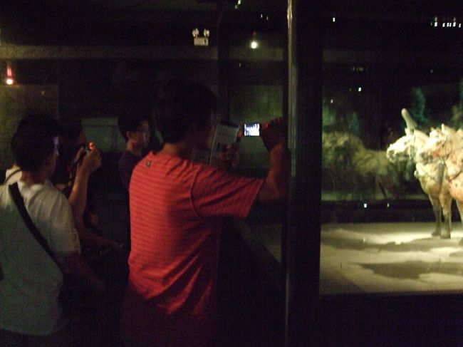 「暗いから写真がブレる」と苦戦中のMGR。