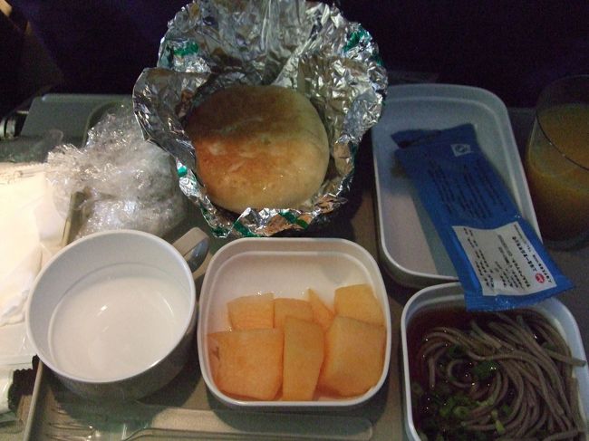 上海-成田間は、さらに小型なA319でした。凄い圧迫感。<br />機内食は、中途半端な時間だったこともあり、質素なもの。<br />中華おやきみたいなのが熱々の状態でサーブされたのですが、味がぼやけていて、残念な感じでした。<br /><br />以上、駆け足でしたが、西安訪問記でした。