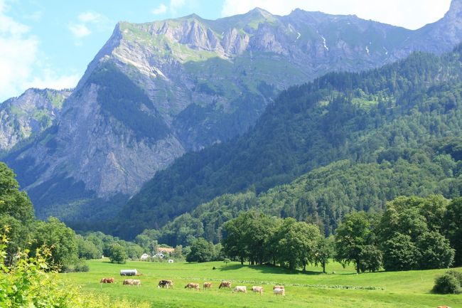 なんてのどかな風景・・・お昼寝したくなります。