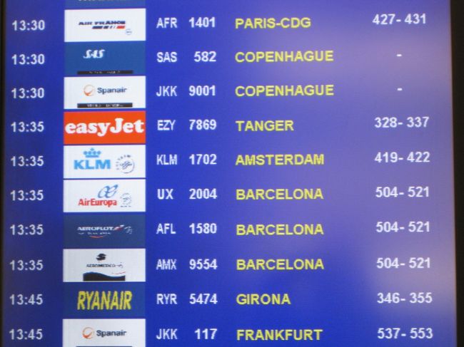 アムステルダム経由で帰国