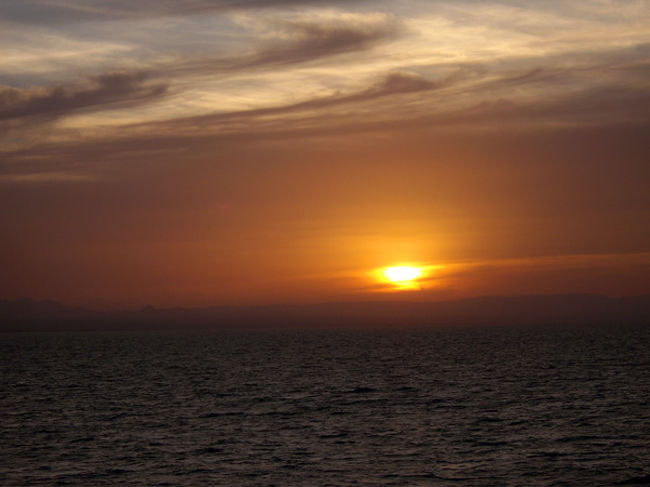 きれいな夕日。