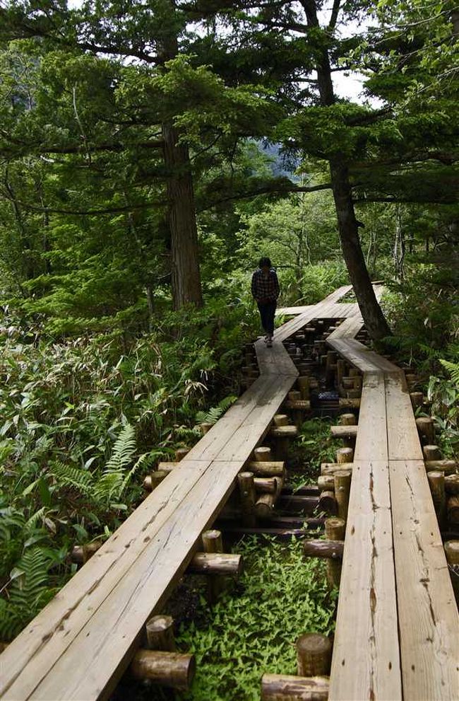 さぁー　もっと奥に行きましょう<br /><br />（奥にエエもんでも有るんか）<br /><br />はい　爽やかさが あります<br /><br />（君が言ったら 爽やかちゃうけど）