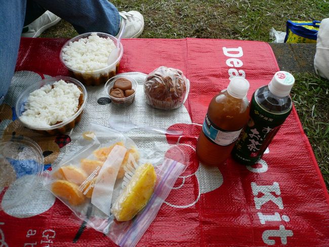 その他梅干し、バナナマフィン、冷凍したオレンジ＆パインを持参しました。