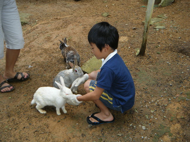 ウサギにえさをあげます。<br />